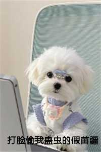 打脸偷我蛊虫的假苗疆圣女全本 打脸偷我蛊虫的假苗疆圣女全本