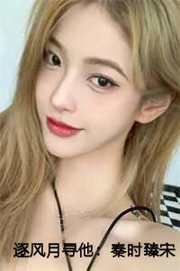 逐风月寻他:秦时臻宋清欢全文+后续