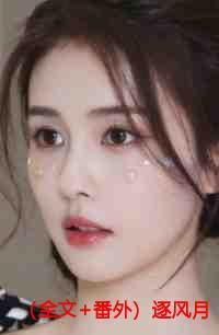 (全文+番外)逐风月寻他宋清欢