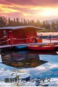 雪落时无声小说全文:结局+番外 雪落时无声小说全文:结局+番外