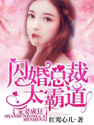 宠妻成狂:闪婚总裁太霸道 宠妻成狂:闪婚总裁太霸道