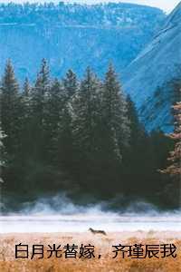 白月光替嫁,齐瑾辰我不要你了:结局+番外 白月光替嫁,齐瑾辰我不要你了:结局+番外