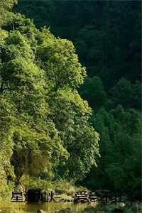 星河灿烂,爱意不止:结局+番外+完结