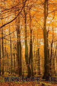 情深缘浅恨难平:结局+番外 情深缘浅恨难平:结局+番外