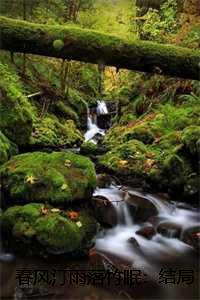 春风汀雨落竹眠:结局+番外孟锦书阮南卿