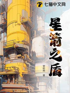 星箭之盾 星箭之盾