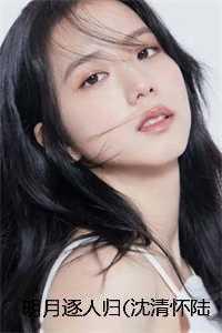 明月逐人归(沈清怀陆暖暖) 明月逐人归(沈清怀陆暖暖)