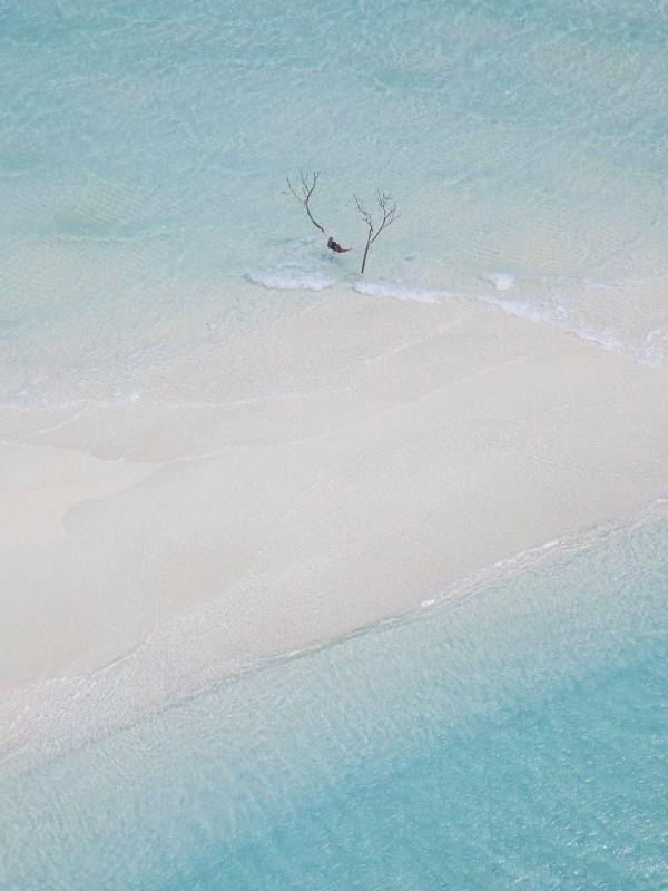 儿子死后,我重生杀疯了 儿子死后,我重生杀疯了