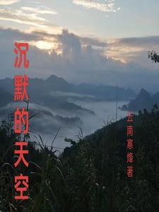 陈默的天空 陈默的天空