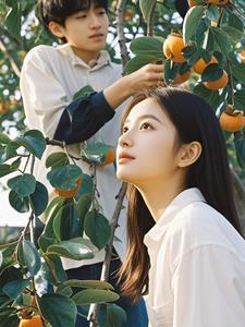 年年柿子红 年年柿子红