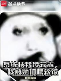 系统扶我凌云志,我被她们喂软饭