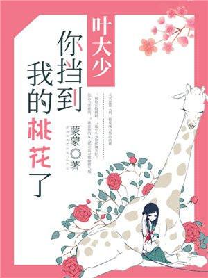 叶大少,你挡到我的桃花了