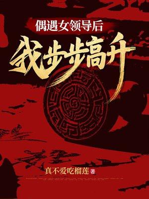 偶遇女领导后,我步步高升