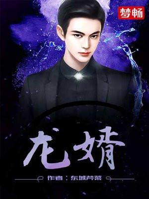 龙婿 龙婿