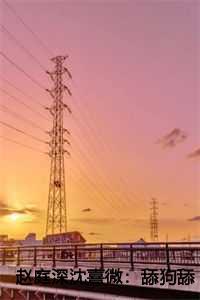 赵庭深沈熹微:舔狗舔到最后,她又丢钱又丢命 赵庭深沈熹微:舔狗舔到最后,她又丢钱又丢命