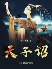 天子诏 天子诏