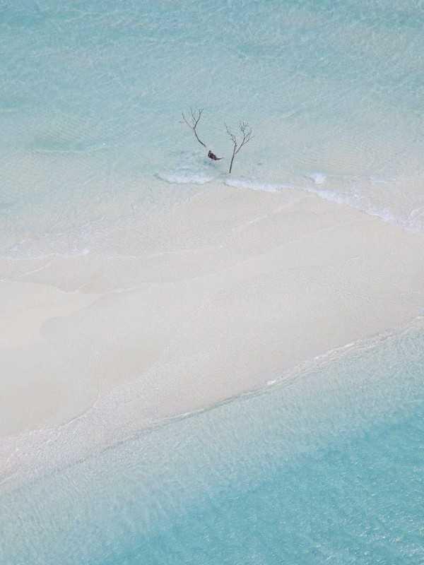 我妈资助的贫困生,毁了我的亿万名画 我妈资助的贫困生,毁了我的亿万名画