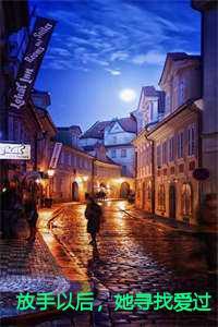 放手以后,她寻找爱过的痕迹结局番外